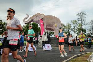 BIB: 
                            <button type="button" onclick="openModal(26528346)" class="btn btn-primary btn-sm float-right btn-popup" data-toggle="modal" data-target=".modal-high-quality">
                        <i class="fas fa-shopping-cart"></i> Add to Cart
                    </button>
                                            <button type="button" onclick="isThisMe(26528346, true)" class="btn btn-success btn-sm float-right btn-popup btn-isme hidden" data-toggle="tooltip" data-placement="bottom" title="นี่คือรูปของคุณใช่ไหม คลิกที่นี่เพื่อเอาเข้าอัลบั้ม">
                        <i class="fas fa-plus"></i> Add to album
                    </button>
                    <button type="button" onclick="isThisMe(26528346, false)" class="btn btn-warning btn-sm float-right btn-popup btn-isnotme hidden">
                        <i class="fas fa-ban"></i> Remove from album
                    </button>